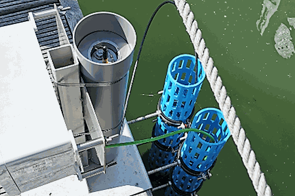 Odoo + afbeelding en tekst