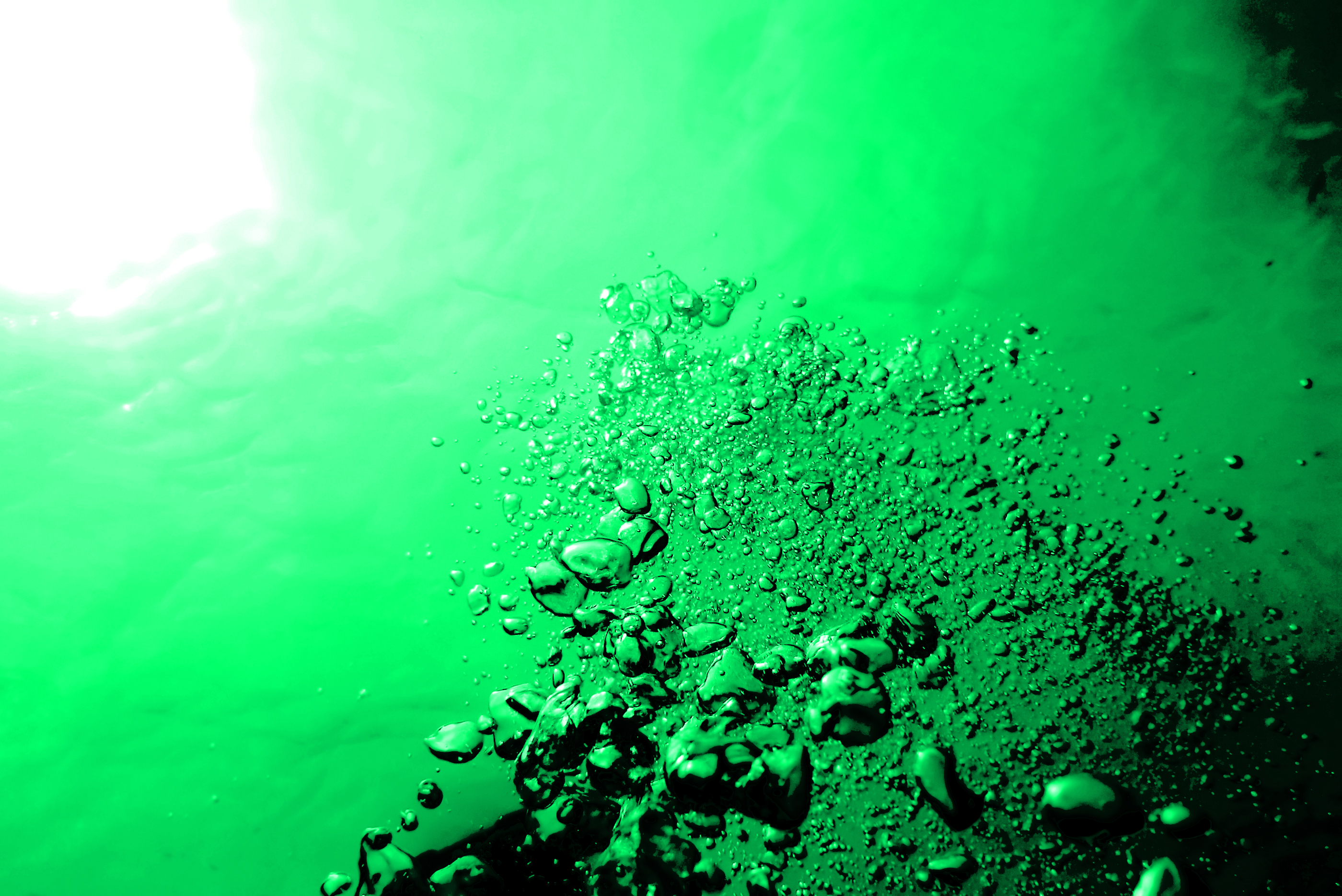 Odoo • Tekst en afbeelding